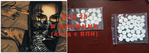 PSILOCYBIN Волосово