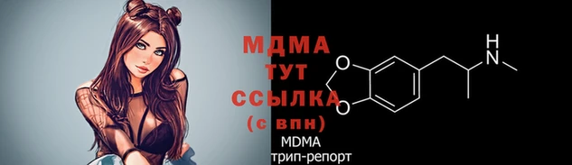 PSILOCYBIN Волосово