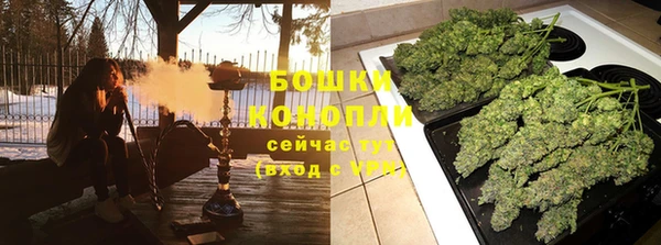 PSILOCYBIN Волосово
